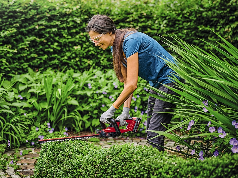 Tempo di primavera: consigli e strumenti per la cura del giardino 
